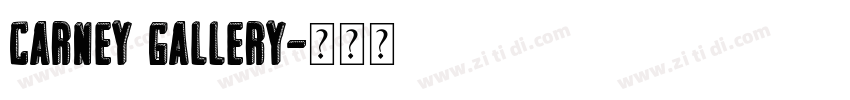 CARNEY GALLERY字体转换
